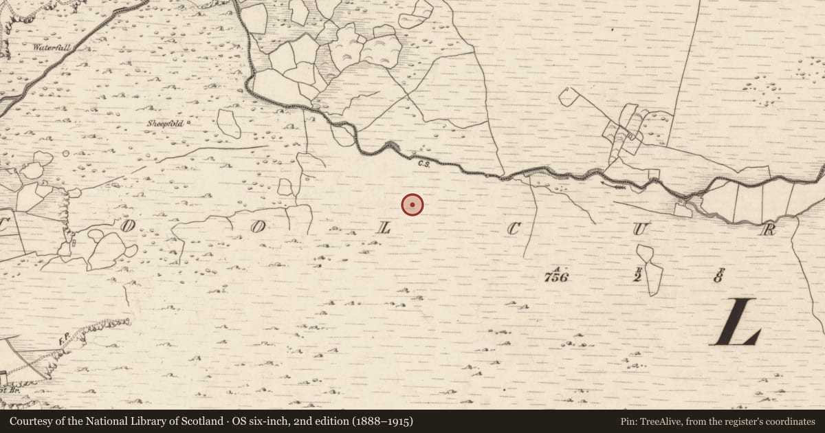 Ordnance Survey six-inch map, 2nd edition (1888–1915) covering the location of Standing stone, Coolcurtoga, County Kerry, with a pin at the register's coordinates