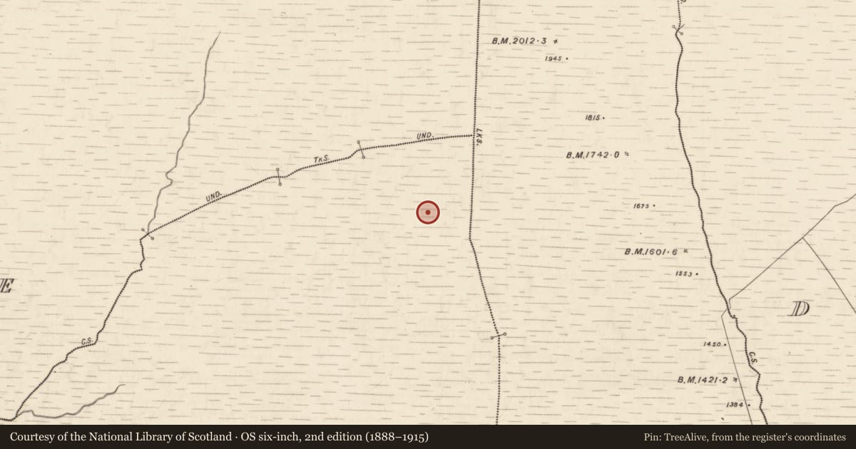 Ordnance Survey six-inch map, 2nd edition (1888–1915) covering the location of Cairn - unclassified, Coolcurtoga, County Kerry, with a pin at the register's coordinates