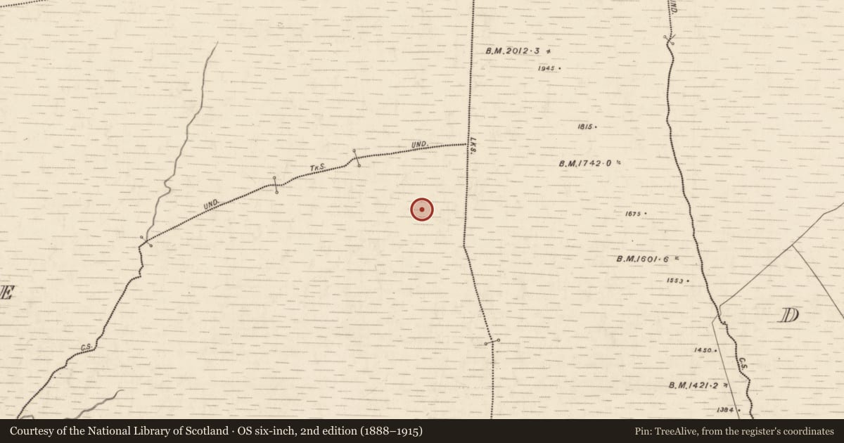 Ordnance Survey six-inch map, 2nd edition (1888–1915) covering the location of Cairn - unclassified, Coolcurtoga, County Kerry, with a pin at the register's coordinates