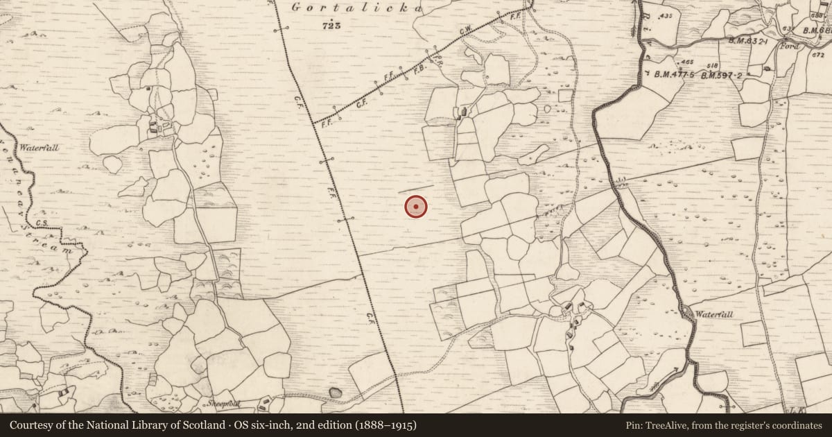Ordnance Survey six-inch map, 2nd edition (1888–1915) covering the location of Megalithic tomb - wedge tomb, Gortnakilla, County Kerry, with a pin at the register's coordinates