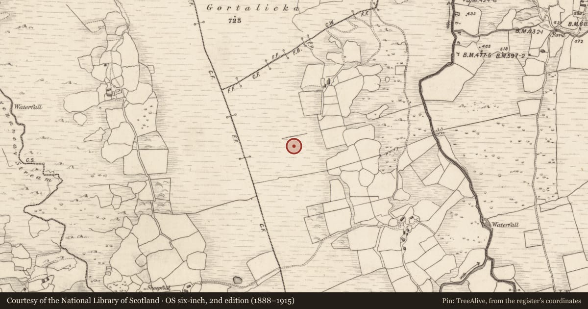 Ordnance Survey six-inch map, 2nd edition (1888–1915) covering the location of Field boundary, Gortnakilla, County Kerry, with a pin at the register's coordinates