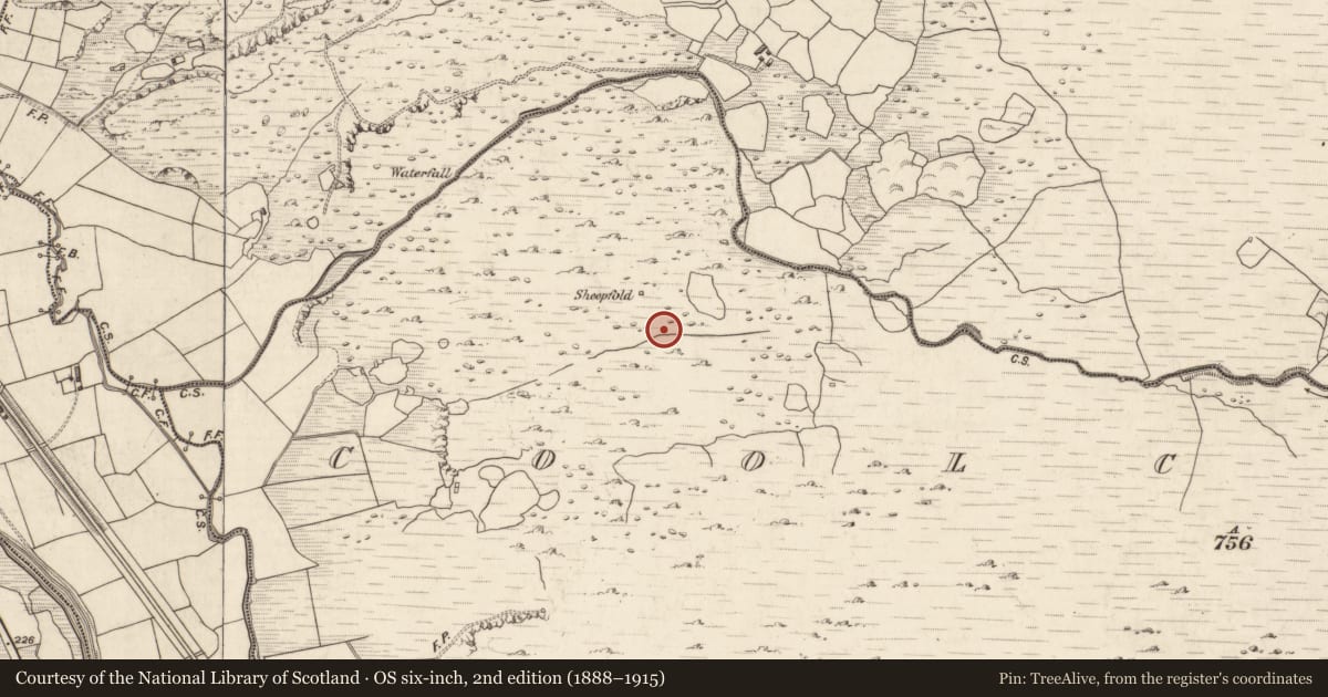Ordnance Survey six-inch map, 2nd edition (1888–1915) covering the location of Hut site, Coolcurtoga, County Kerry, with a pin at the register's coordinates