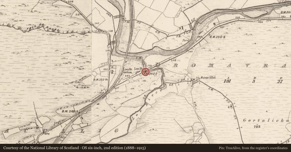 Ordnance Survey six-inch map, 2nd edition (1888–1915) covering the location of Bridge, Derreenacullig, Dromavrauka, County Kerry, with a pin at the register's coordinates
