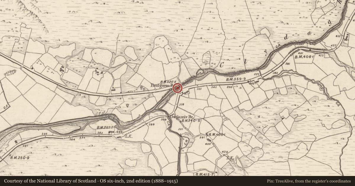 Ordnance Survey six-inch map, 2nd edition (1888–1915) covering the location of Bridge, Coomacullen, Killeen, County Kerry, with a pin at the register's coordinates