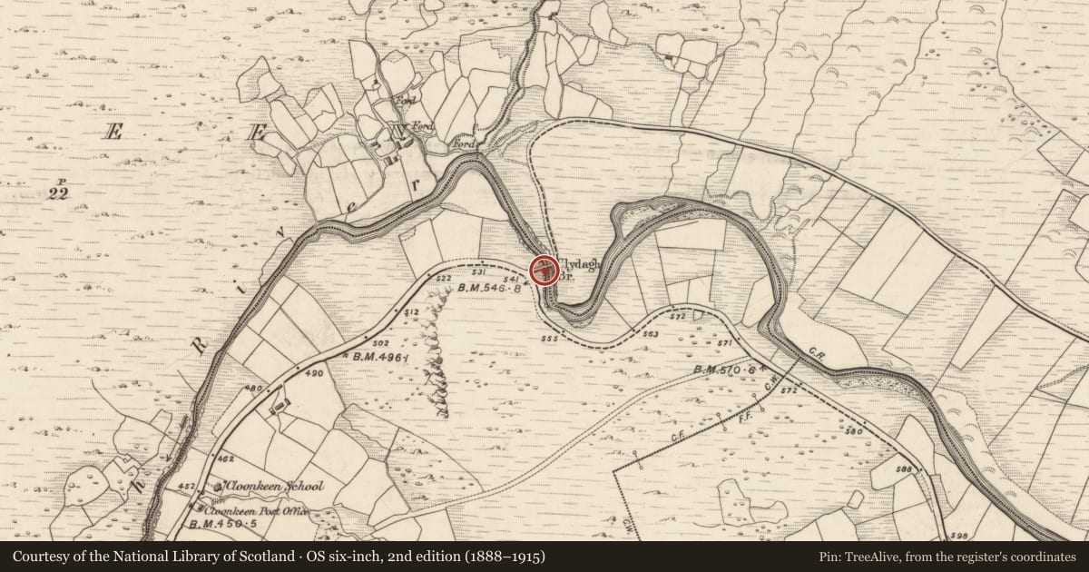 Ordnance Survey six-inch map, 2nd edition (1888–1915) covering the location of Bridge, Cloonkeen, Derrymaclavlode, County Kerry, with a pin at the register's coordinates