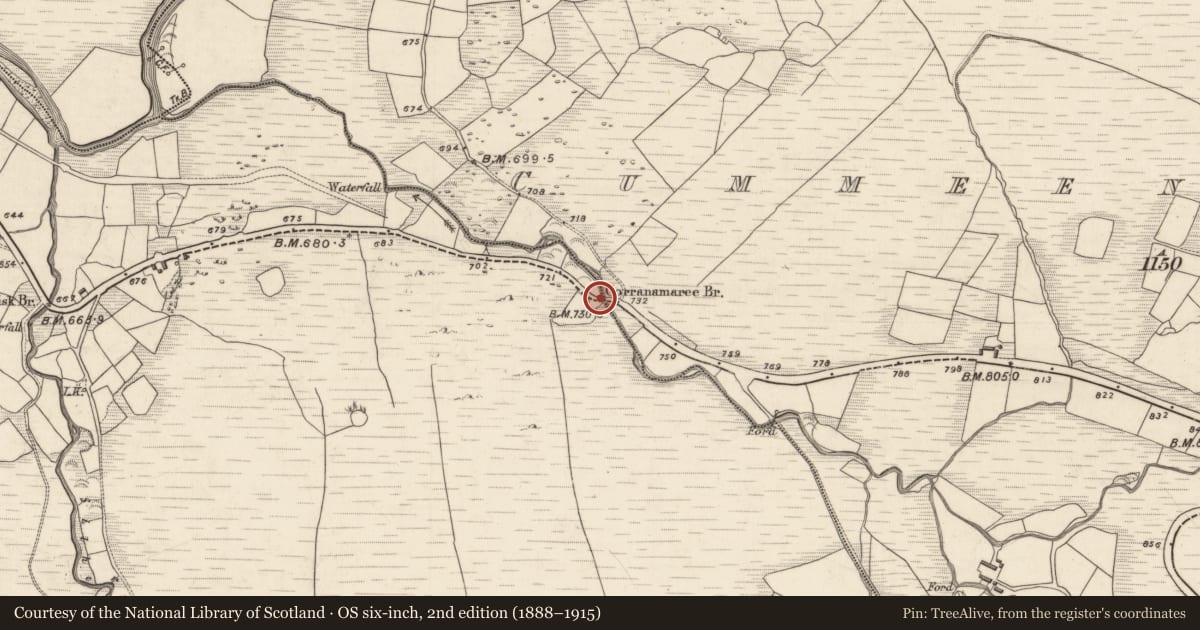 Ordnance Survey six-inch map, 2nd edition (1888–1915) covering the location of Bridge, Cummeenavrick, Derryreag, County Kerry, with a pin at the register's coordinates