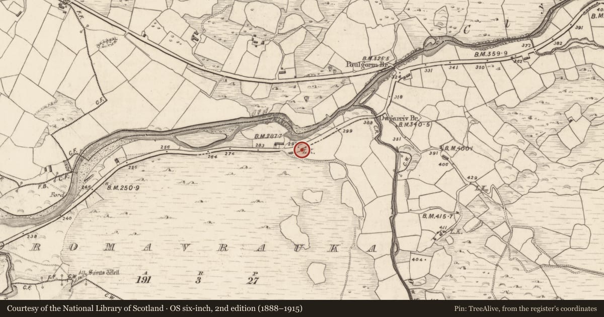Ordnance Survey six-inch map, 2nd edition (1888–1915) covering the location of Kiln - lime, Dromavrauka, County Kerry, with a pin at the register's coordinates