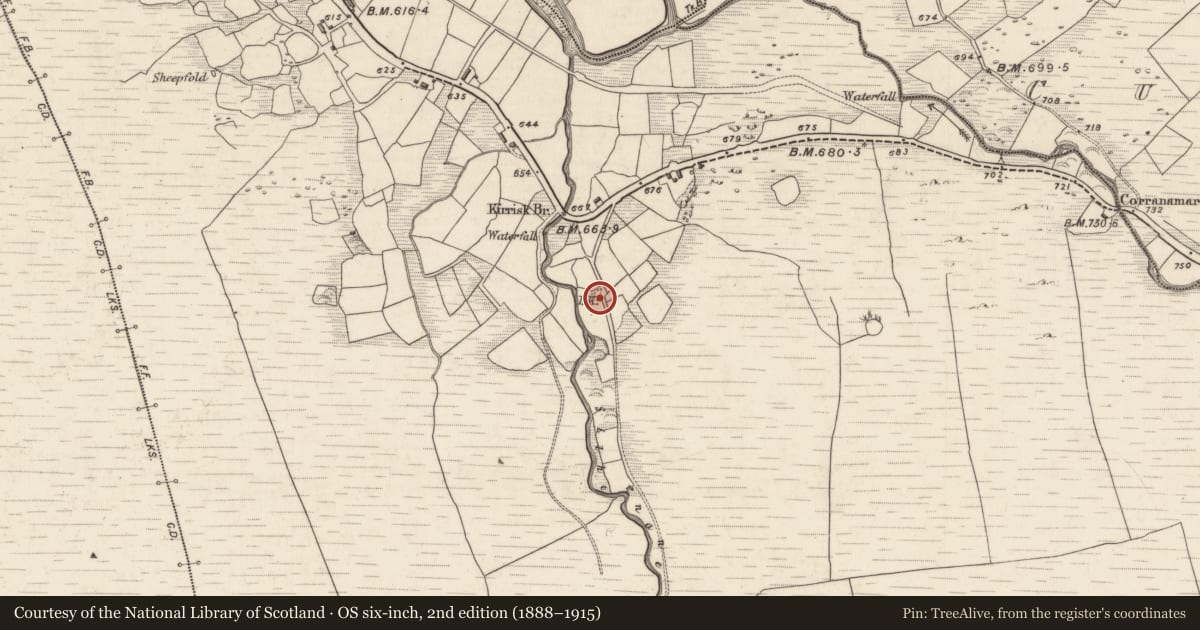 Ordnance Survey six-inch map, 2nd edition (1888–1915) covering the location of Kiln - lime, Derryreag, County Kerry, with a pin at the register's coordinates