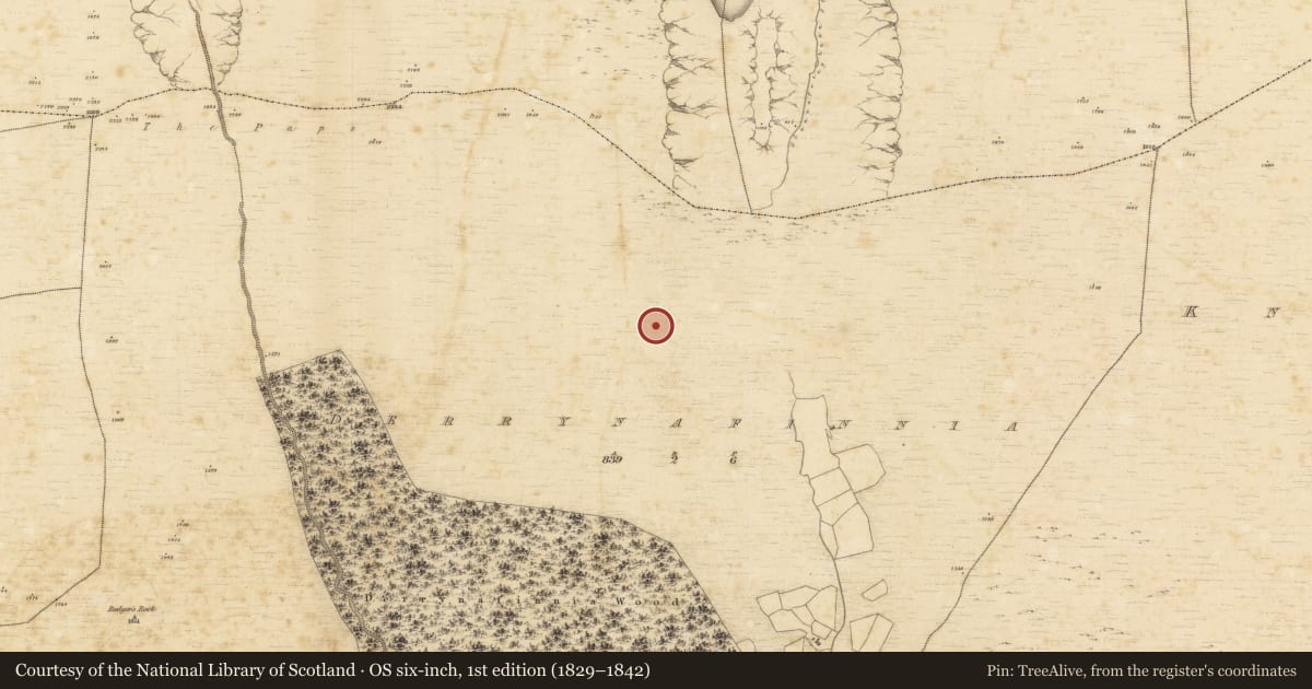 Ordnance Survey six-inch map, 1st edition (1829–1842) covering the location of Hut site, Derrynafinnia, County Kerry, with a pin at the register's coordinates