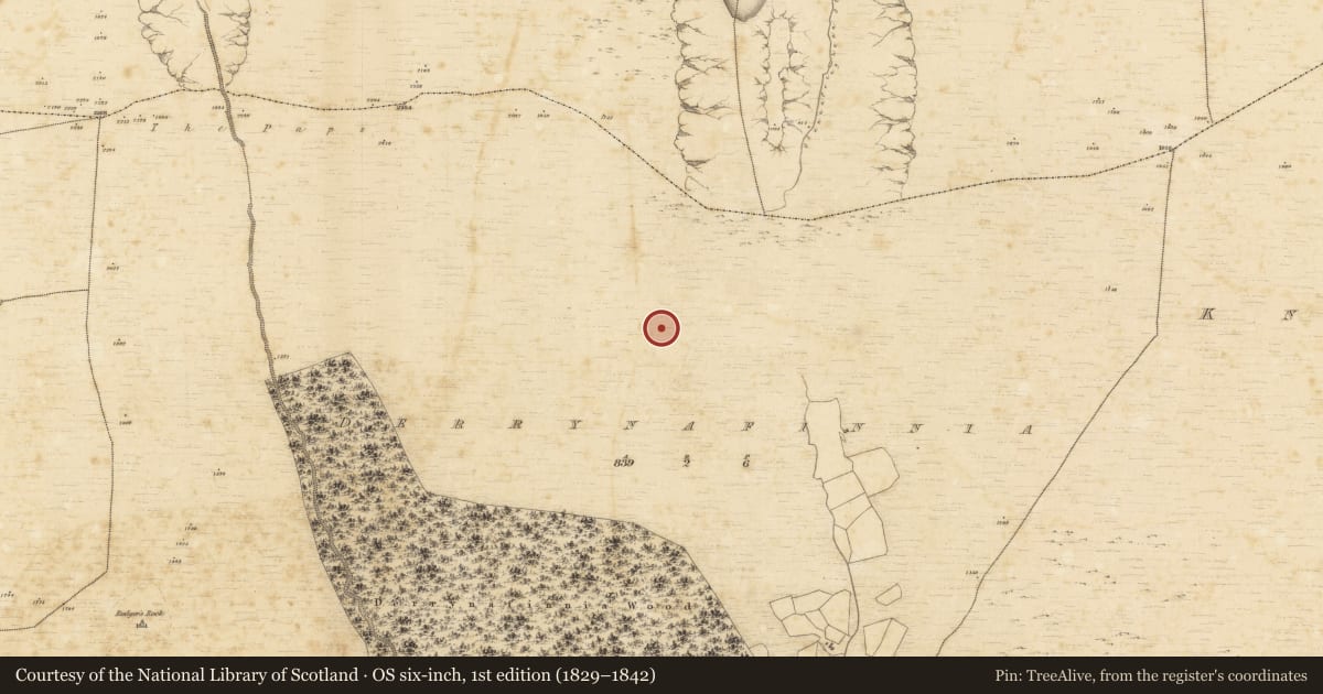 Ordnance Survey six-inch map, 1st edition (1829–1842) covering the location of Hut site, Derrynafinnia, County Kerry, with a pin at the register's coordinates