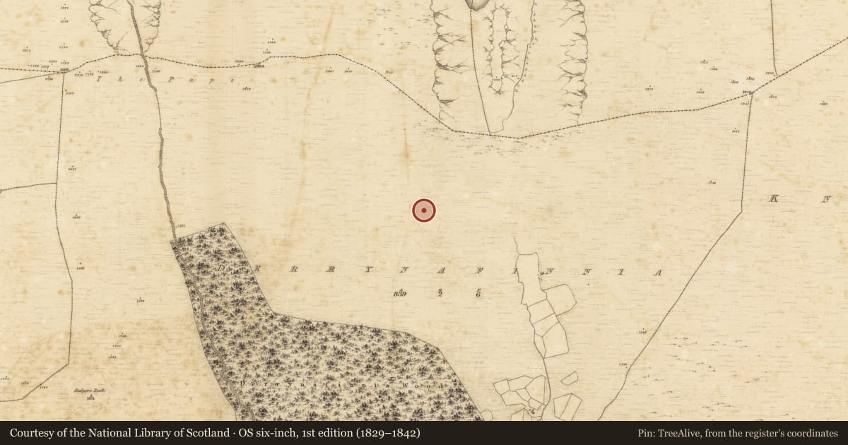 Ordnance Survey six-inch map, 1st edition (1829–1842) covering the location of Hut site, Derrynafinnia, County Kerry, with a pin at the register's coordinates