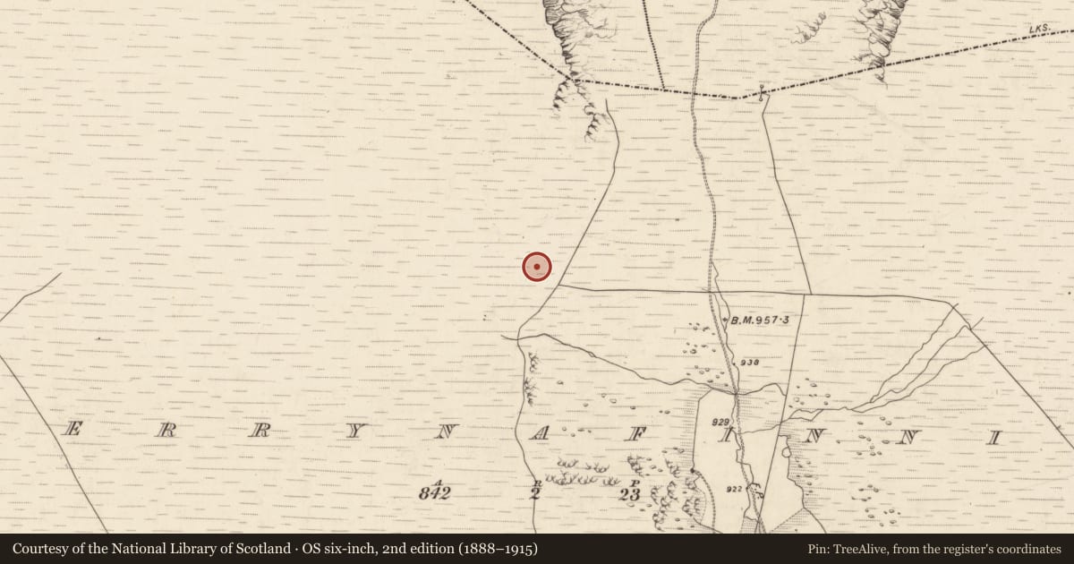 Ordnance Survey six-inch map, 2nd edition (1888–1915) covering the location of Field boundary, Derrynafinnia, County Kerry, with a pin at the register's coordinates