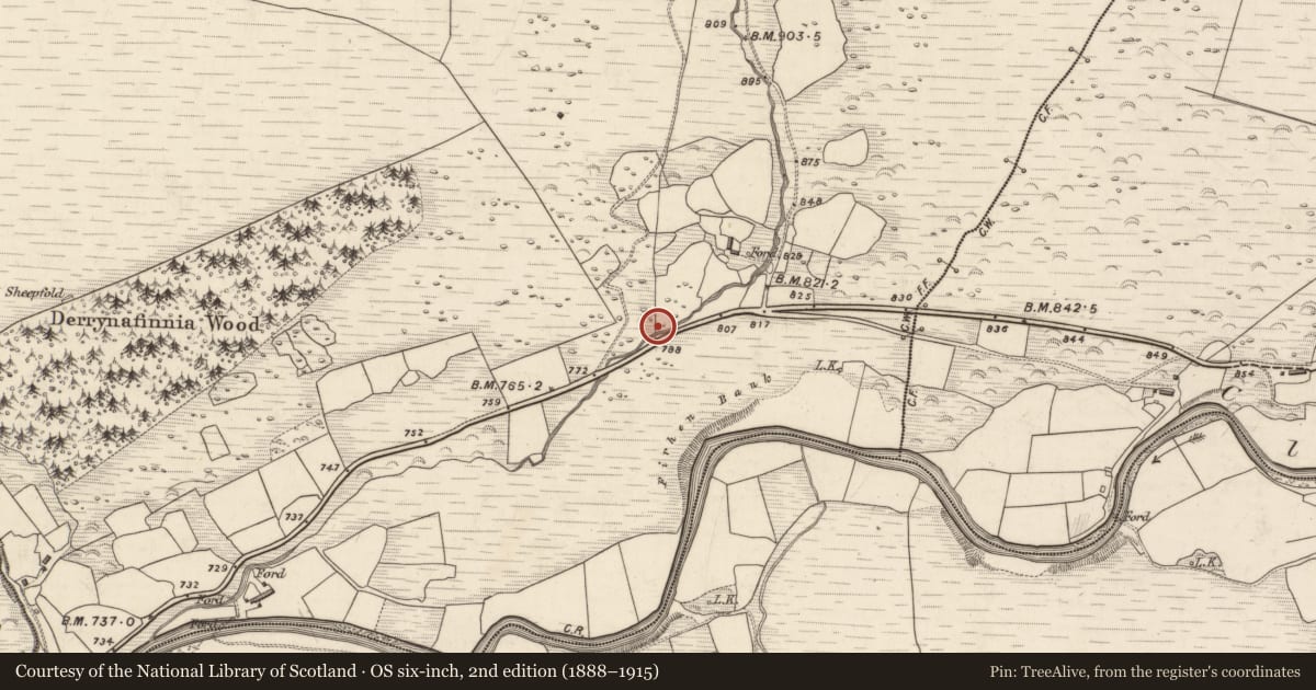 Ordnance Survey six-inch map, 2nd edition (1888–1915) covering the location of Fulacht fia, Derrynafinnia, County Kerry, with a pin at the register's coordinates