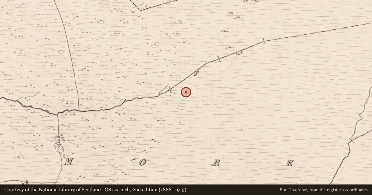 Ordnance Survey six-inch map, 2nd edition (1888–1915) covering the location of Enclosure, Annagh More, County Kerry, with a pin at the register's coordinates