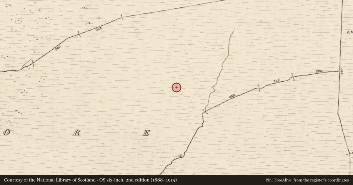 Ordnance Survey six-inch map, 2nd edition (1888–1915) covering the location of Hut site, Annagh More, County Kerry, with a pin at the register's coordinates