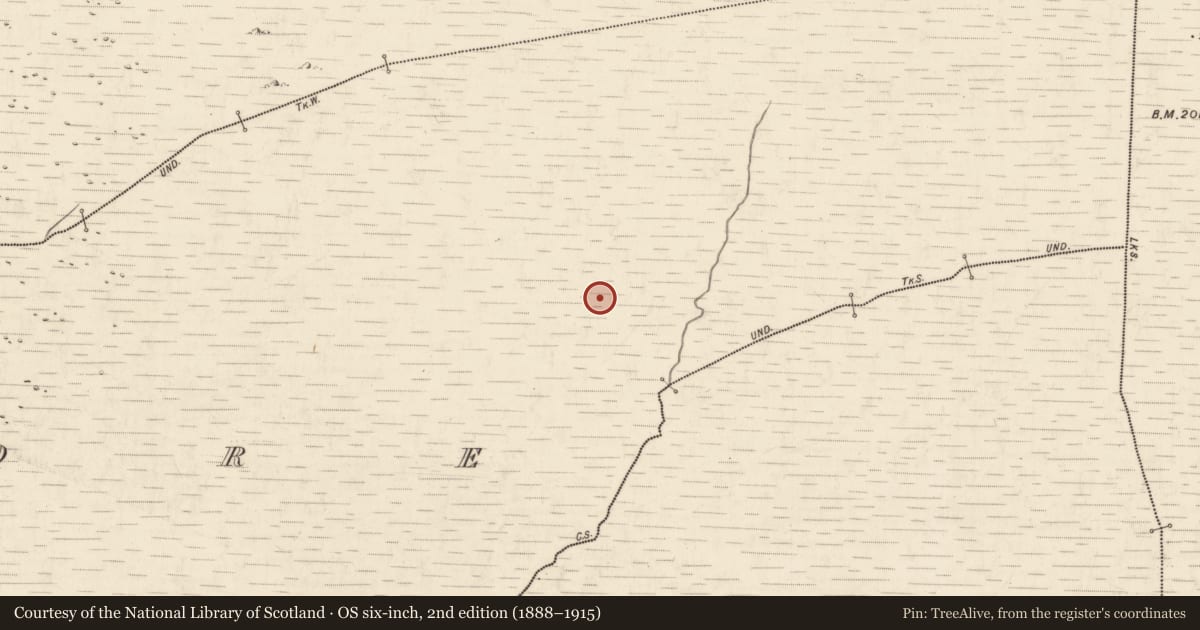 Ordnance Survey six-inch map, 2nd edition (1888–1915) covering the location of Hut site, Annagh More, County Kerry, with a pin at the register's coordinates