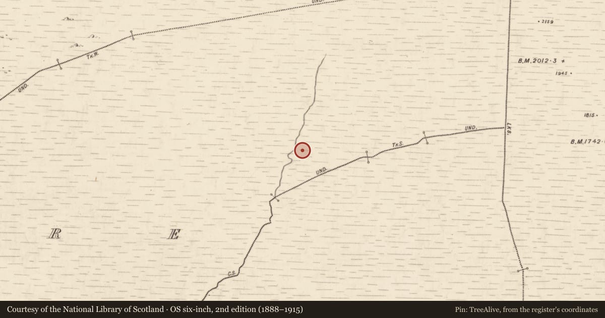 Ordnance Survey six-inch map, 2nd edition (1888–1915) covering the location of Hut site, Annagh More, County Kerry, with a pin at the register's coordinates