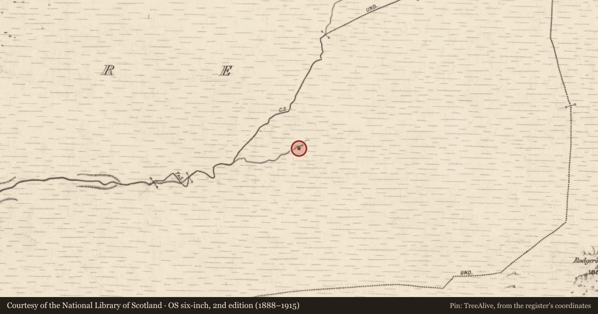 Ordnance Survey six-inch map, 2nd edition (1888–1915) covering the location of Hut site, Annagh More, County Kerry, with a pin at the register's coordinates