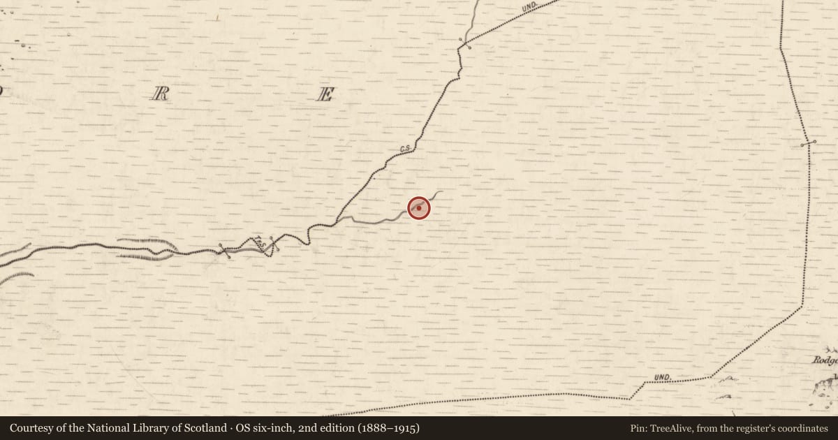Ordnance Survey six-inch map, 2nd edition (1888–1915) covering the location of Hut site, Annagh More, County Kerry, with a pin at the register's coordinates