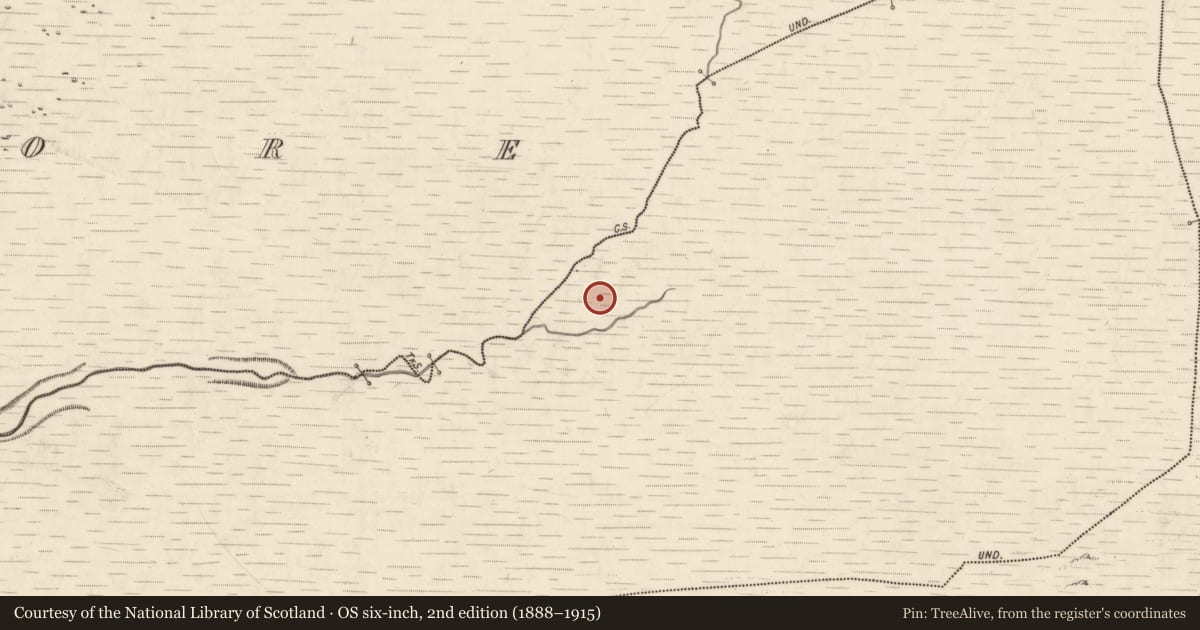 Ordnance Survey six-inch map, 2nd edition (1888–1915) covering the location of Hut site, Annagh More, County Kerry, with a pin at the register's coordinates