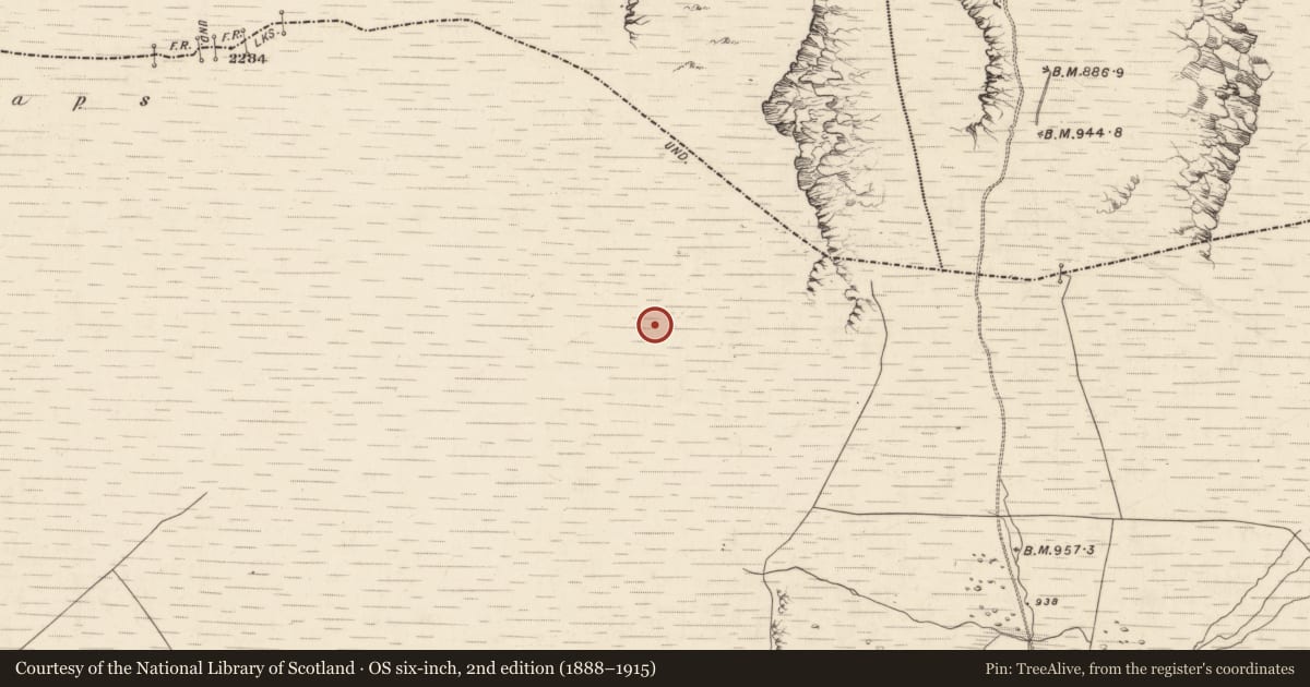 Ordnance Survey six-inch map, 2nd edition (1888–1915) covering the location of Hut site, Derrynafinnia, County Kerry, with a pin at the register's coordinates