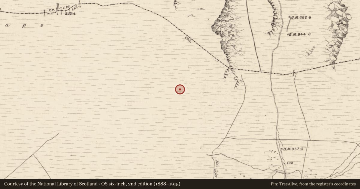 Ordnance Survey six-inch map, 2nd edition (1888–1915) covering the location of Hut site, Derrynafinnia, County Kerry, with a pin at the register's coordinates