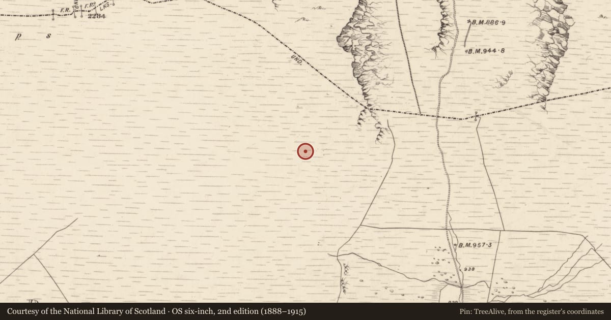 Ordnance Survey six-inch map, 2nd edition (1888–1915) covering the location of Hut site, Derrynafinnia, County Kerry, with a pin at the register's coordinates