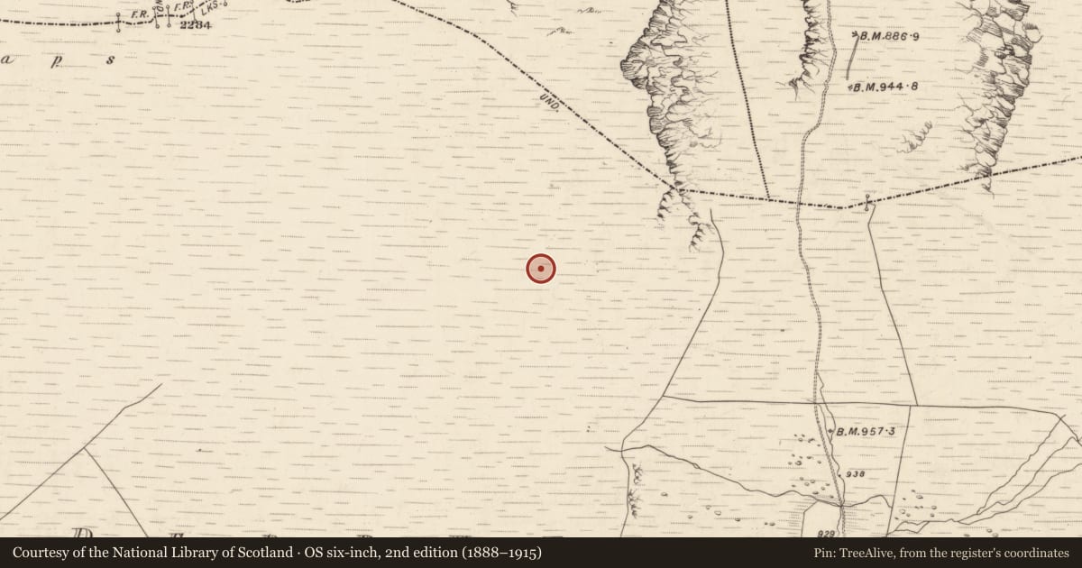 Ordnance Survey six-inch map, 2nd edition (1888–1915) covering the location of Hut site, Derrynafinnia, County Kerry, with a pin at the register's coordinates