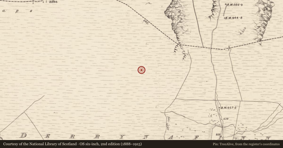 Ordnance Survey six-inch map, 2nd edition (1888–1915) covering the location of Hut site, Derrynafinnia, County Kerry, with a pin at the register's coordinates