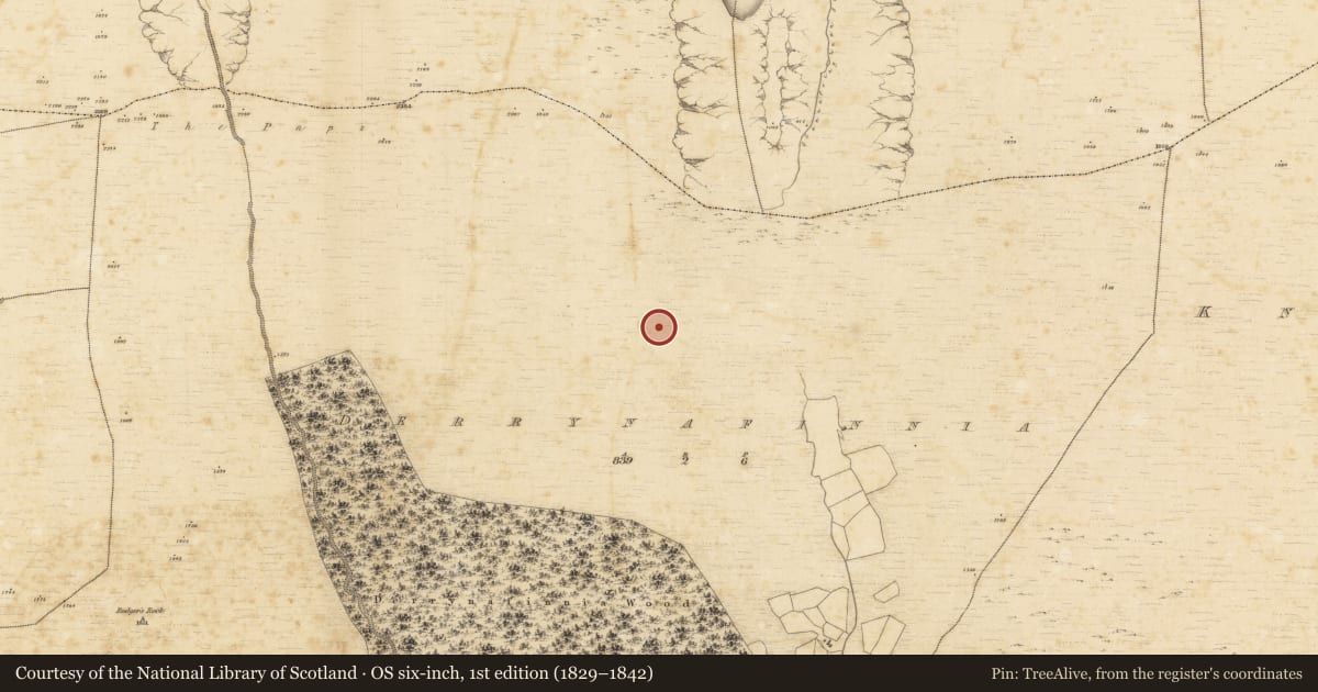 Ordnance Survey six-inch map, 1st edition (1829–1842) covering the location of Hut site, Derrynafinnia, County Kerry, with a pin at the register's coordinates