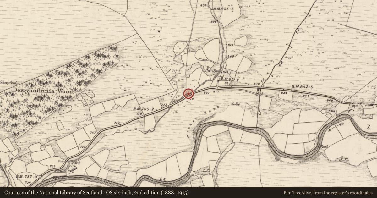 Ordnance Survey six-inch map, 2nd edition (1888–1915) covering the location of Fulacht fia, Derrynafinnia, County Kerry, with a pin at the register's coordinates