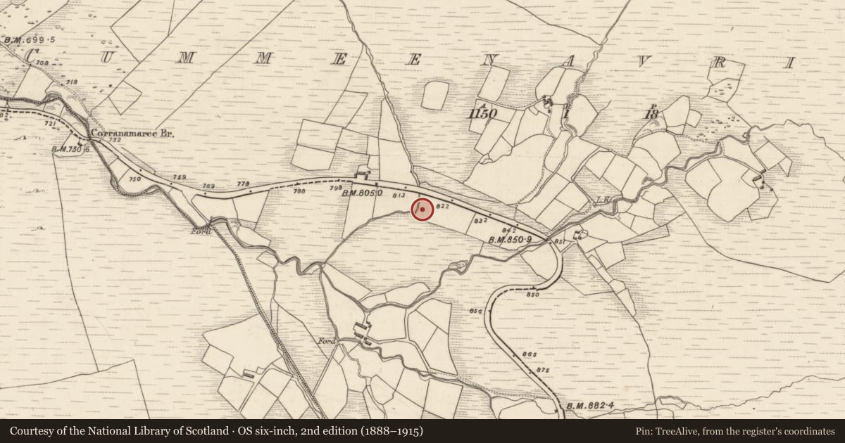 Ordnance Survey six-inch map, 2nd edition (1888–1915) covering the location of Fulacht fia, Cummeenavrick, County Kerry, with a pin at the register's coordinates