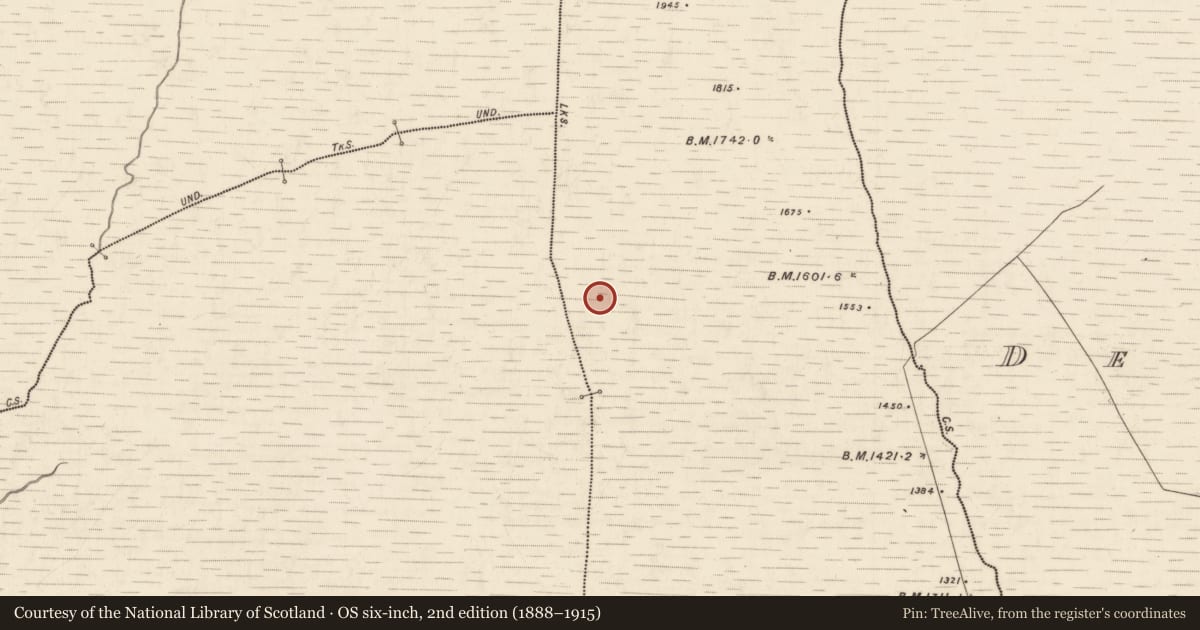 Ordnance Survey six-inch map, 2nd edition (1888–1915) covering the location of Standing stone, Derrymaclavlode, County Kerry, with a pin at the register's coordinates