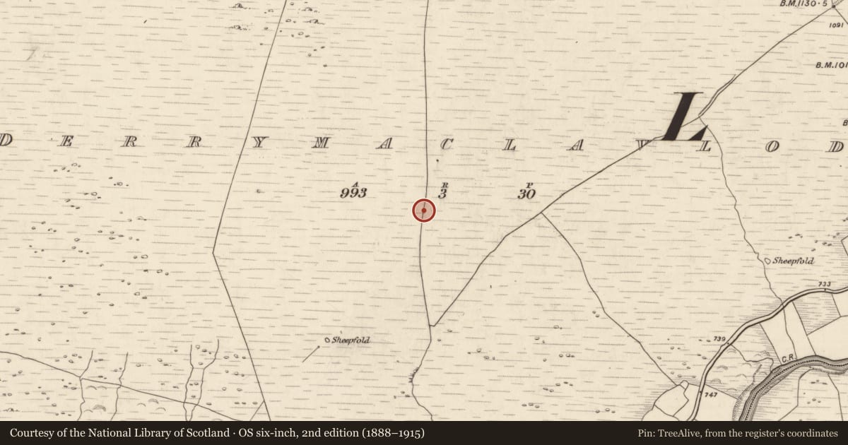 Ordnance Survey six-inch map, 2nd edition (1888–1915) covering the location of Field boundary, Derrymaclavlode, County Kerry, with a pin at the register's coordinates