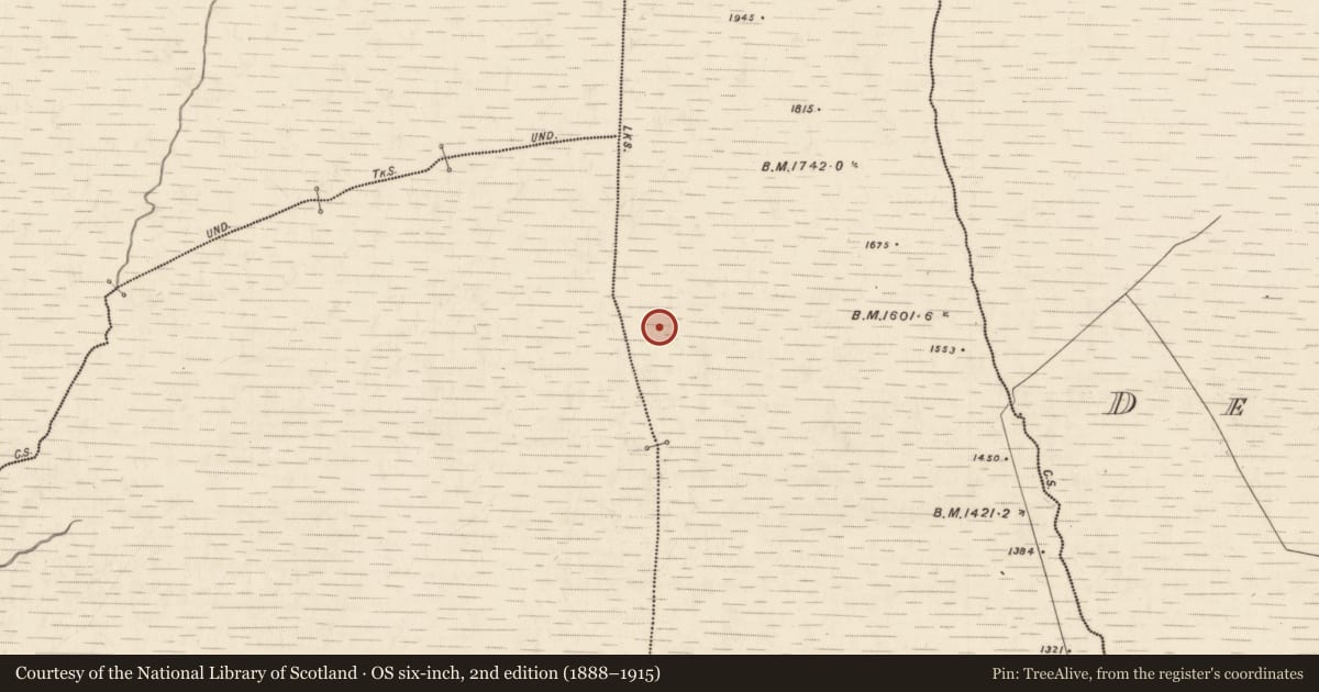 Ordnance Survey six-inch map, 2nd edition (1888–1915) covering the location of Hut site, Derrymaclavlode, County Kerry, with a pin at the register's coordinates