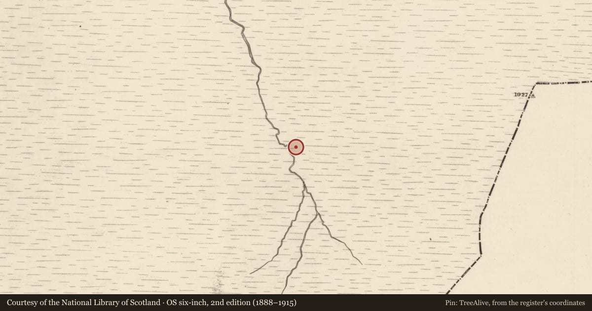Ordnance Survey six-inch map, 2nd edition (1888–1915) covering the location of Hut site, Cummeennabuddoge, County Kerry, with a pin at the register's coordinates