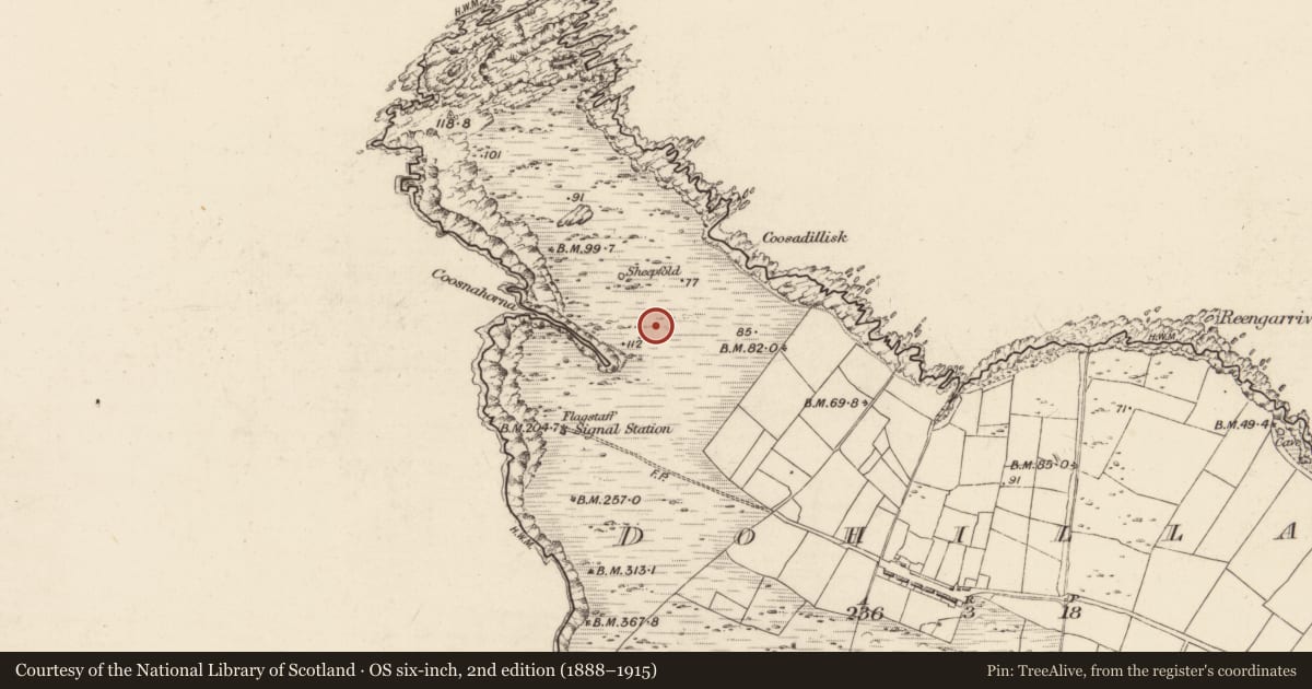 Ordnance Survey six-inch map, 2nd edition (1888–1915) covering the location of Hut site, Dohilla, County Kerry, with a pin at the register's coordinates