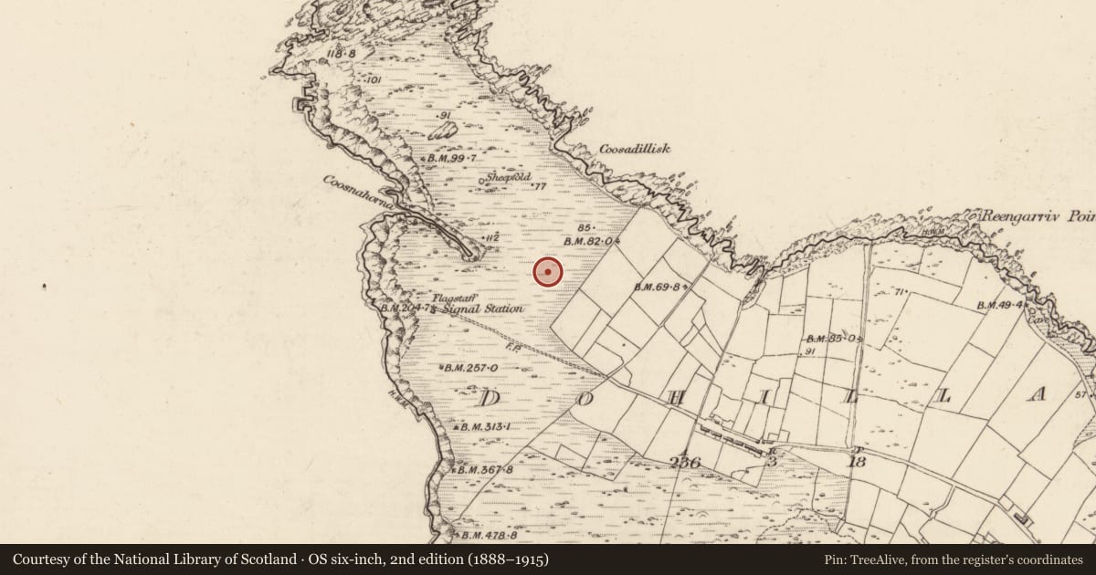 Ordnance Survey six-inch map, 2nd edition (1888–1915) covering the location of Field boundary, Dohilla, County Kerry, with a pin at the register's coordinates