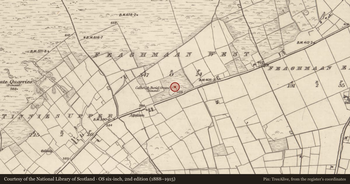 Ordnance Survey six-inch map, 2nd edition (1888–1915) covering the location of Church, Feaghmaan West, County Kerry, with a pin at the register's coordinates