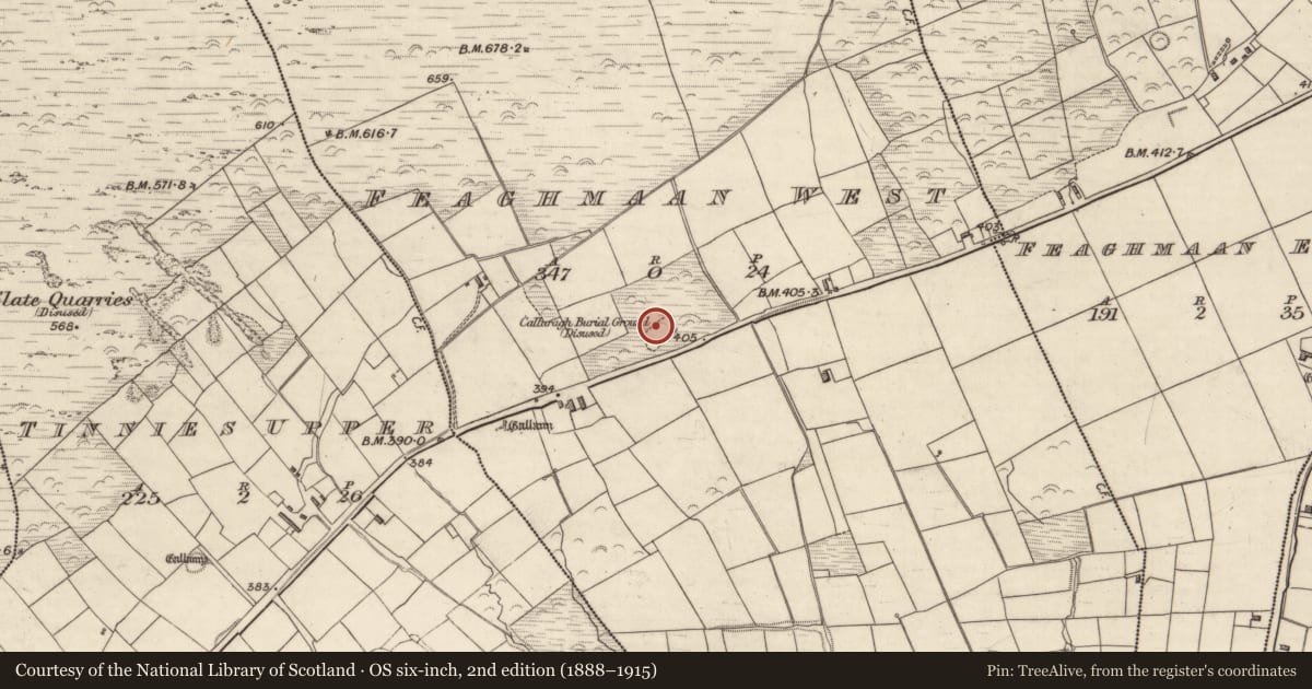 Ordnance Survey six-inch map, 2nd edition (1888–1915) covering the location of Ecclesiastical enclosure, Feaghmaan West, County Kerry, with a pin at the register's coordinates