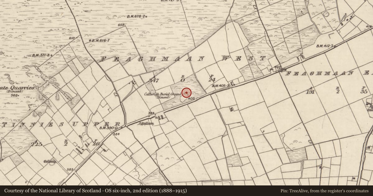 Ordnance Survey six-inch map, 2nd edition (1888–1915) covering the location of Leacht, Feaghmaan West, County Kerry, with a pin at the register's coordinates
