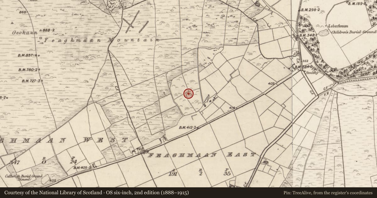 Ordnance Survey six-inch map, 2nd edition (1888–1915) covering the location of Hut site, Feaghmaan East, County Kerry, with a pin at the register's coordinates