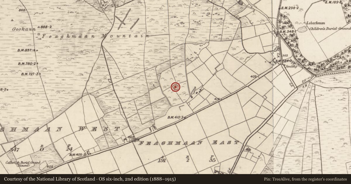 Ordnance Survey six-inch map, 2nd edition (1888–1915) covering the location of Hut site, Feaghmaan East, County Kerry, with a pin at the register's coordinates