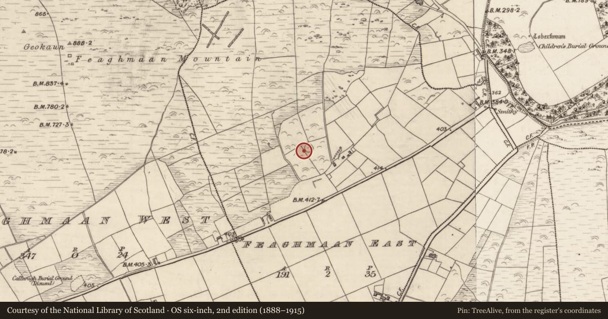 Ordnance Survey six-inch map, 2nd edition (1888–1915) covering the location of Hut site, Feaghmaan East, County Kerry, with a pin at the register's coordinates