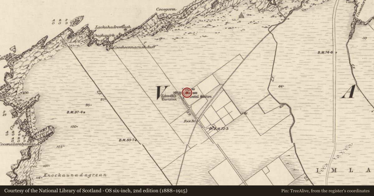 Ordnance Survey six-inch map, 2nd edition (1888–1915) covering the location of Cross, Coarha Beg, County Kerry, with a pin at the register's coordinates