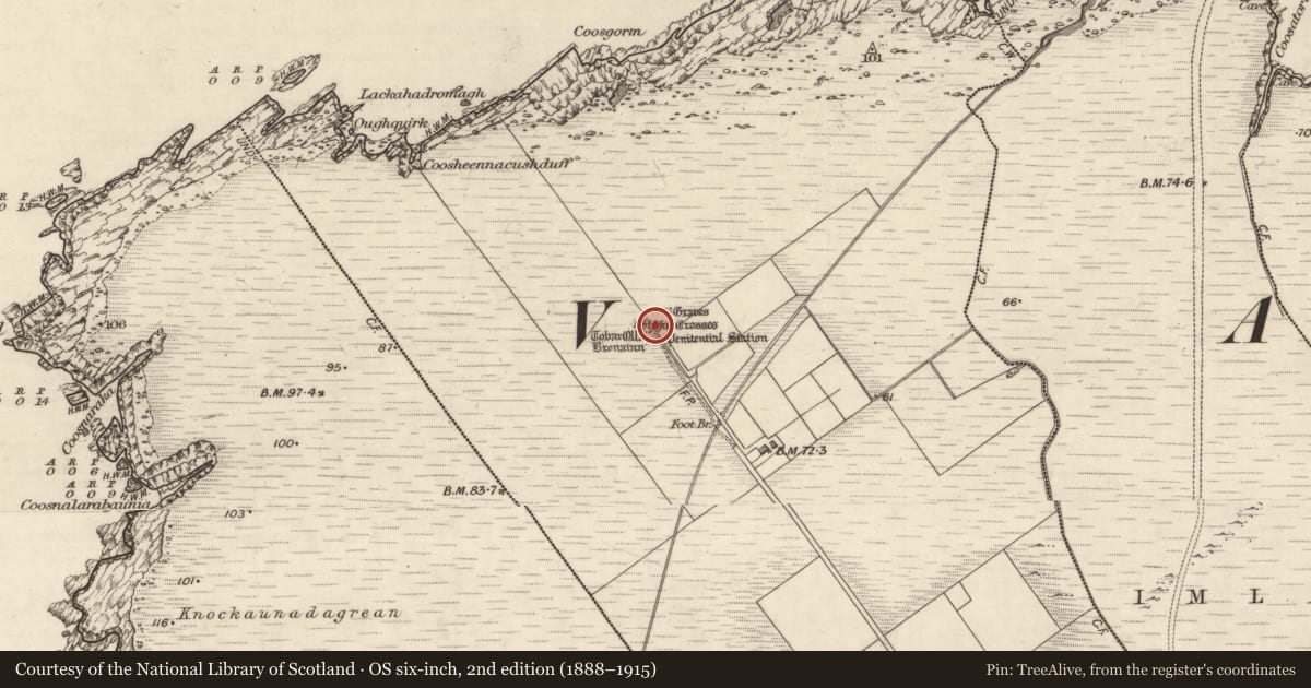 Ordnance Survey six-inch map, 2nd edition (1888–1915) covering the location of Cross-inscribed stone, Coarha Beg, County Kerry, with a pin at the register's coordinates