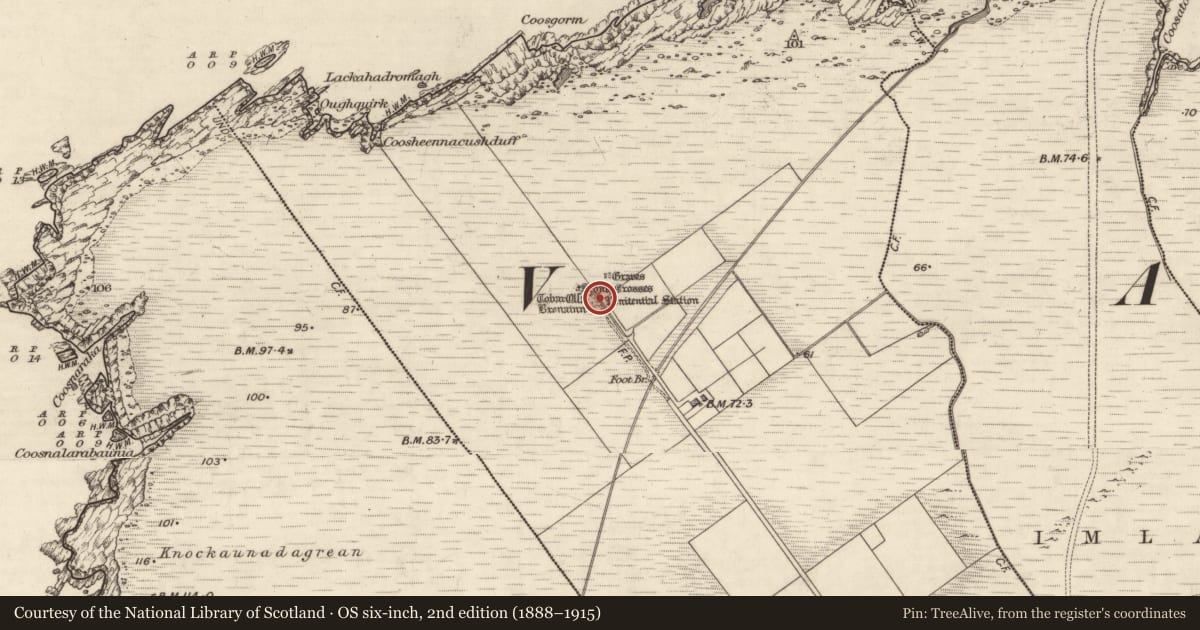 Ordnance Survey six-inch map, 2nd edition (1888–1915) covering the location of Leacht, Coarha Beg, County Kerry, with a pin at the register's coordinates