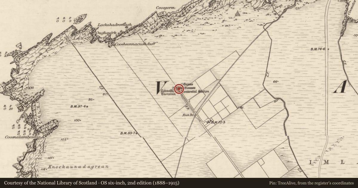 Ordnance Survey six-inch map, 2nd edition (1888–1915) covering the location of Cross, Coarha Beg, County Kerry, with a pin at the register's coordinates