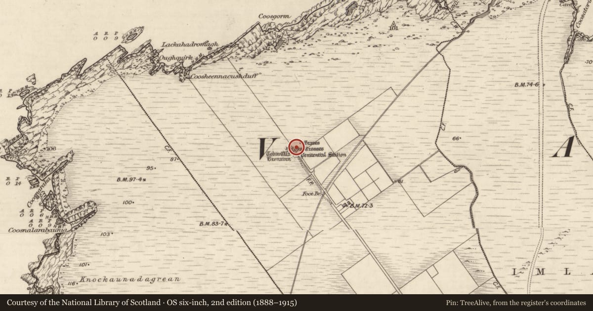 Ordnance Survey six-inch map, 2nd edition (1888–1915) covering the location of Cross, Coarha Beg, County Kerry, with a pin at the register's coordinates