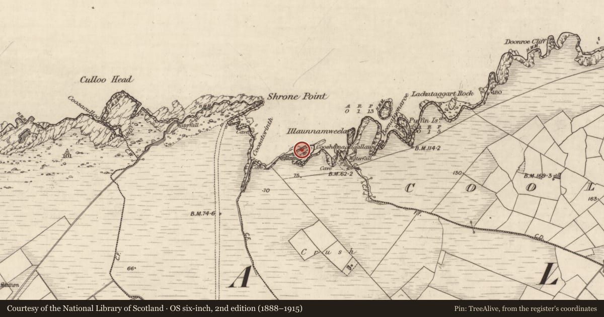 Ordnance Survey six-inch map, 2nd edition (1888–1915) covering the location of Promontory fort - coastal, Cool West, County Kerry, with a pin at the register's coordinates